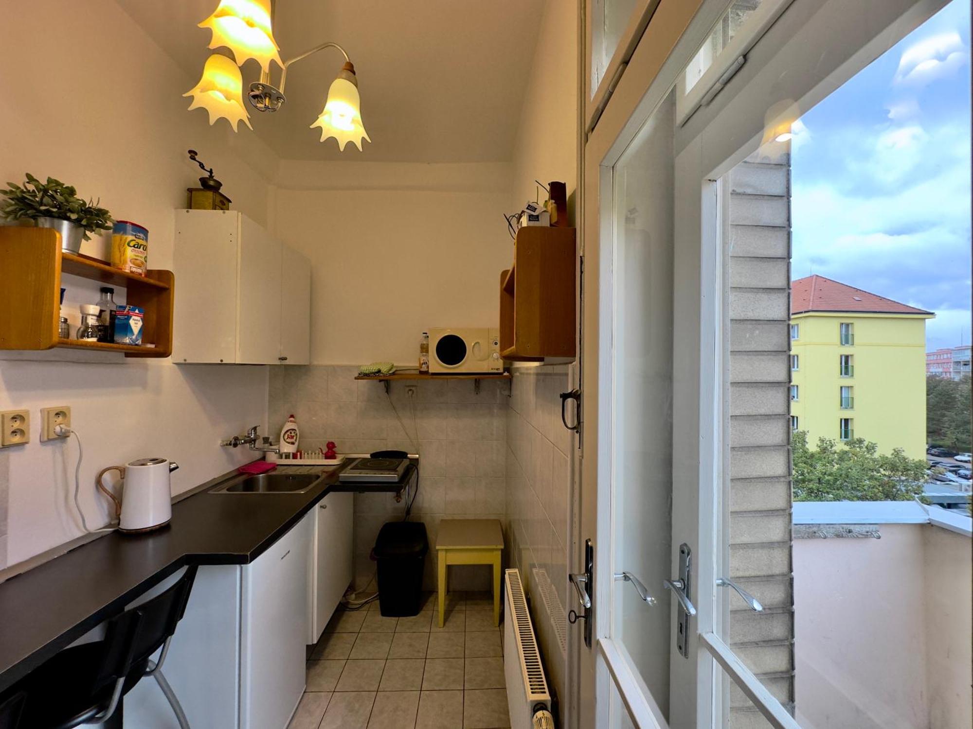 Daire Sedlcanska - Will Save Money Here - Equipped With Antique Furniture Prag